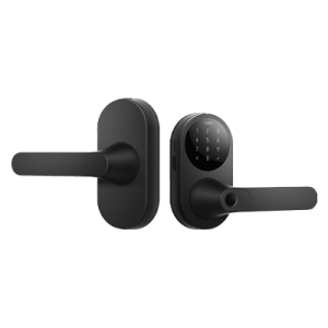Smart Lock U300