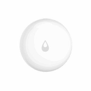 Water Leak Sensor T1